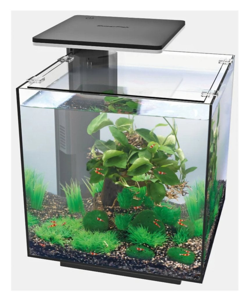 Aquarium superfish QubiQ 30 pro, Dieren en Toebehoren, Vis
