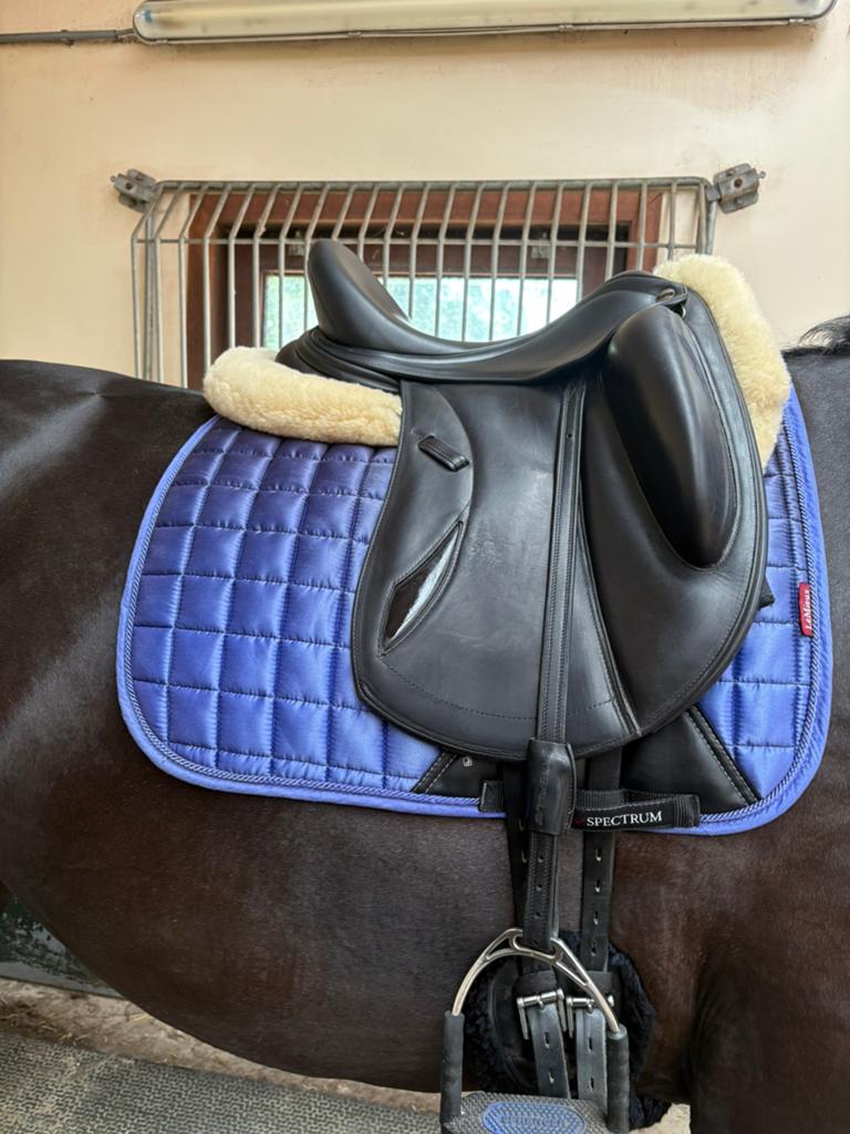 Lemieux spectrum dekje full, Dieren en Toebehoren, Paarden en Pony's | Dekens en Dekjes, Gebruikt, Dressuurdekje, Ophalen of Verzenden