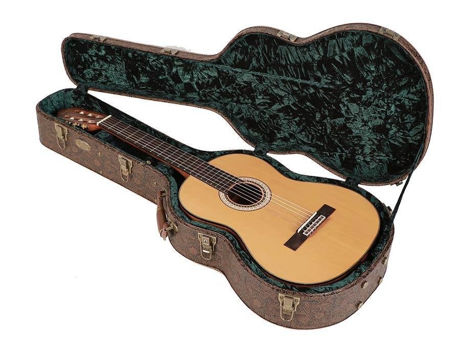 Boston CCL-720 Limited Edition deluxe design koffer, ., Nieuw, Ophalen of Verzenden, Akoestische gitaar