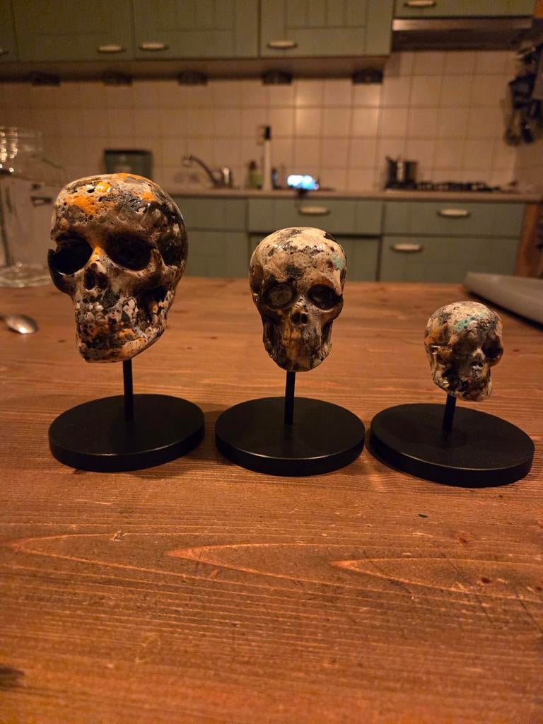 Luxe schedels van gerecycled plastic - Set van 3, Ophalen of Verzenden, Nieuw