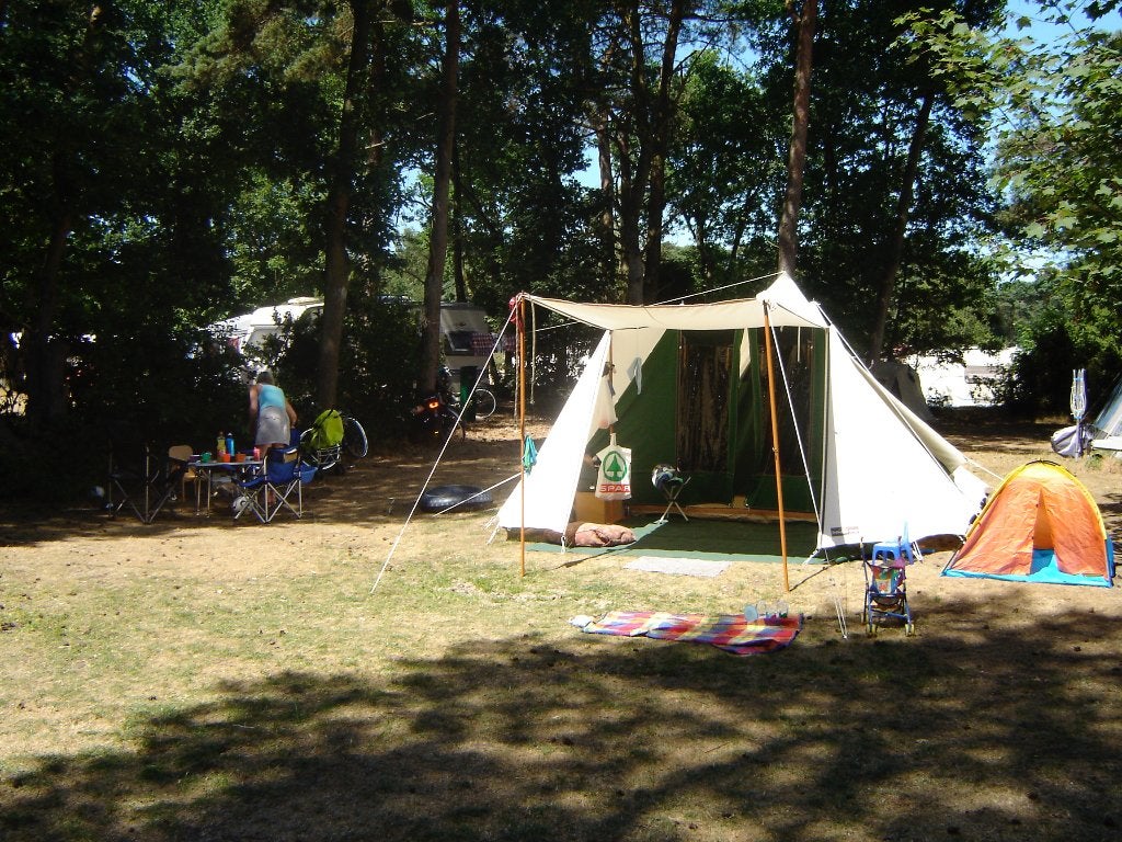 Holtkamper Utopia, Ophalen