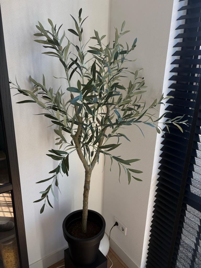 Kunst olijfboom binnen zo goed als nieuw, Ophalen, Zo goed als nieuw