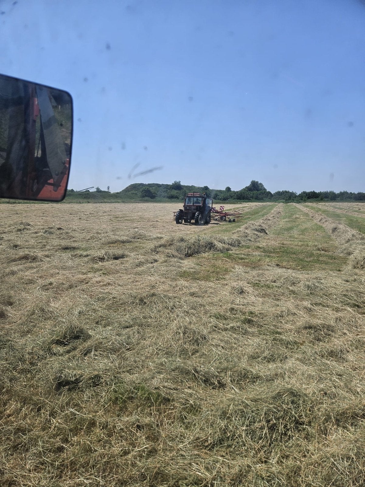 Hooi van natuurland, grote balen., Dieren en Toebehoren, Dierenvoeding, Ophalen, Vee