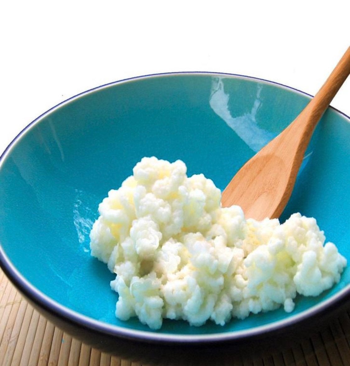 Melkkefirkorrels BIO melkefir 50 gram - verzending mogelijk!, Diversen, Ophalen of Verzenden
