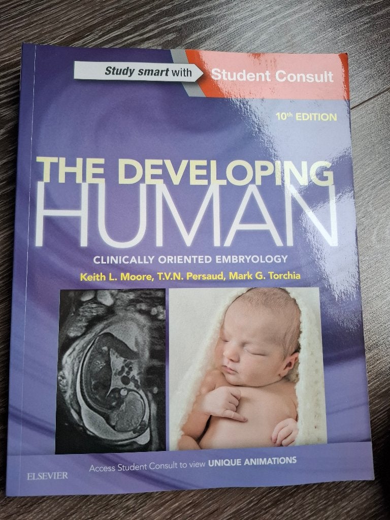 The developing human, Boeken, Ophalen of Verzenden, Beta, Zo goed als nieuw, WO