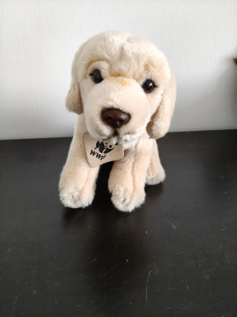 Labrodor knuffel hond 18 cm, Ophalen, Nieuw, Hond