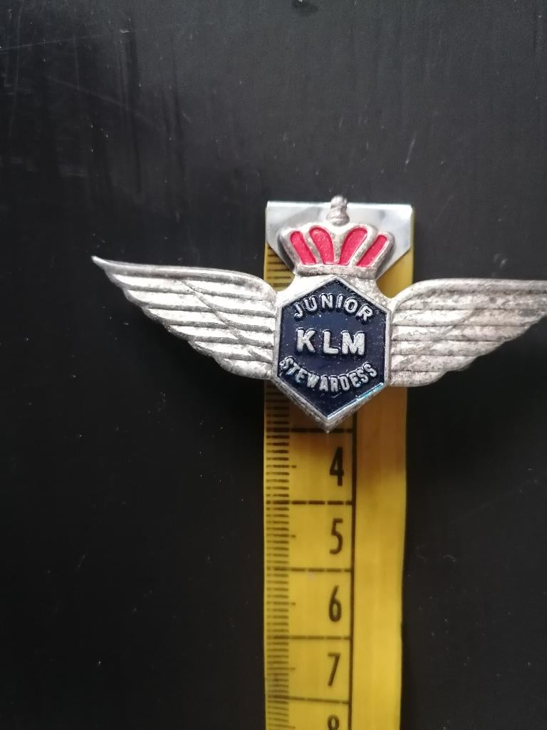 speldje van de KLM, Verzamelen, Speldjes, Pins en Buttons, Ophalen of Verzenden, Gebruikt, Overige onderwerpen