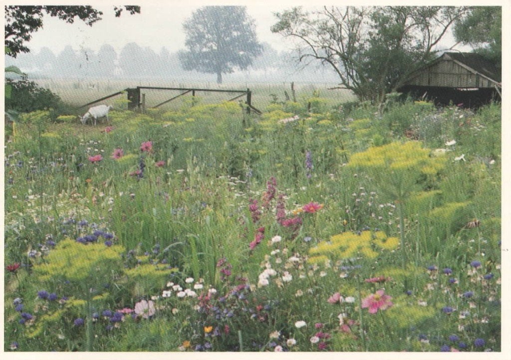 Ansichtkaart Slagharen, Prionatuinen, Ophalen of Verzenden, 1980 tot heden, Gelopen, Overijssel