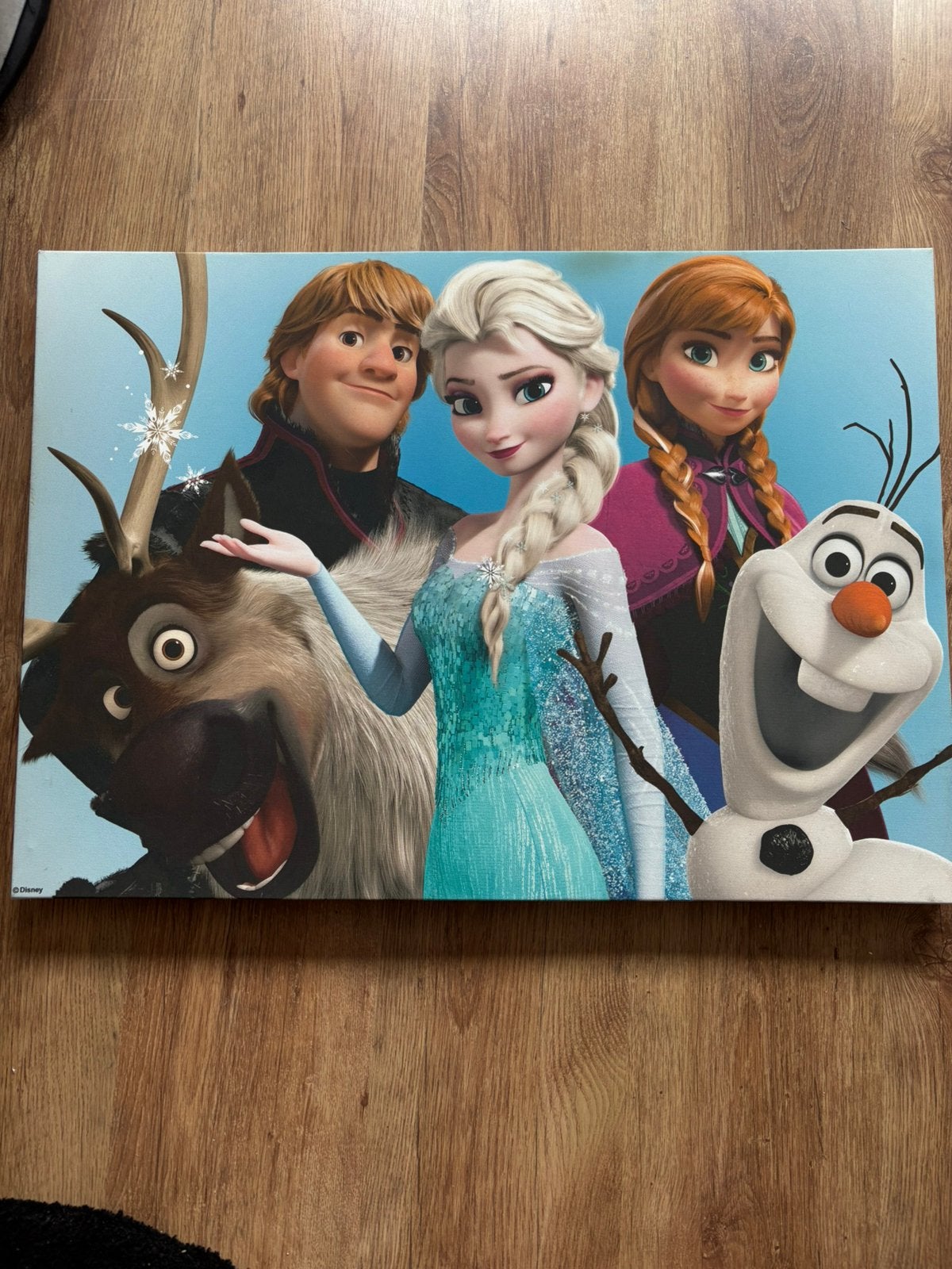 Frozen canva, Ophalen of Verzenden