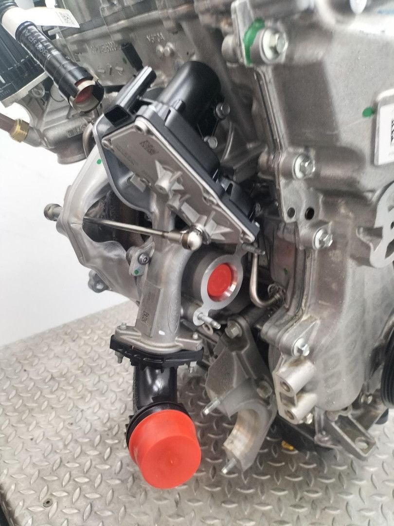 FORD KUGA DFK TITANIUM FWD  TURBO 2024, Ophalen of Verzenden, Gebruikt, Stiba lid