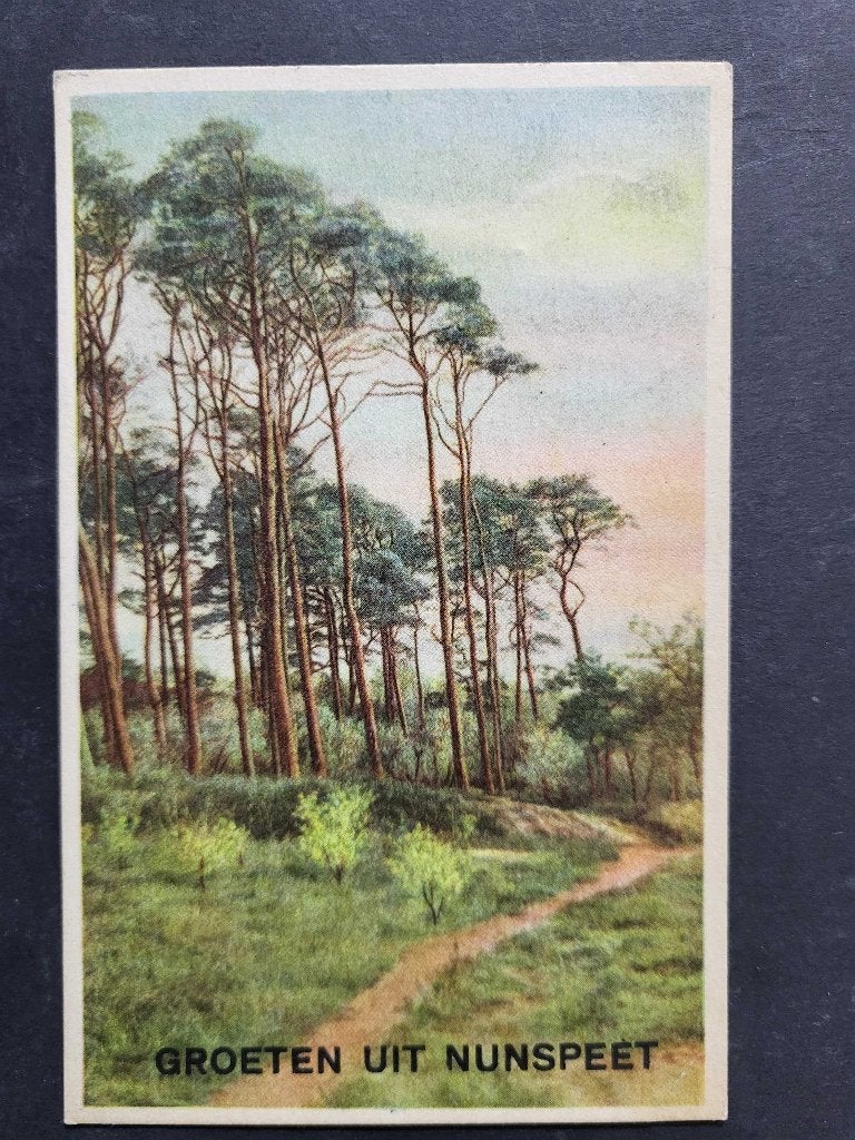 ansicht Groeten uit NUNSPEET 1952, Ophalen of Verzenden, Voor 1920, Gelderland