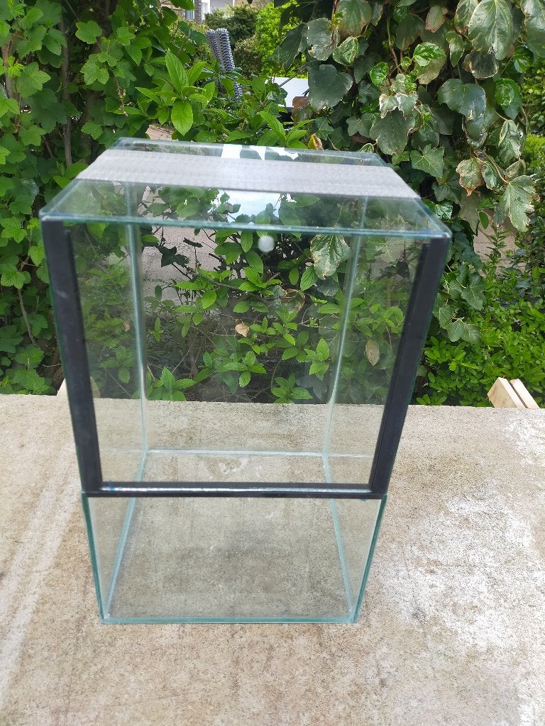 klein terrarium 25/25/40 nieuw, Dieren en Toebehoren, Reptielen en Amfibieën | Toebehoren, Ophalen, Nieuw