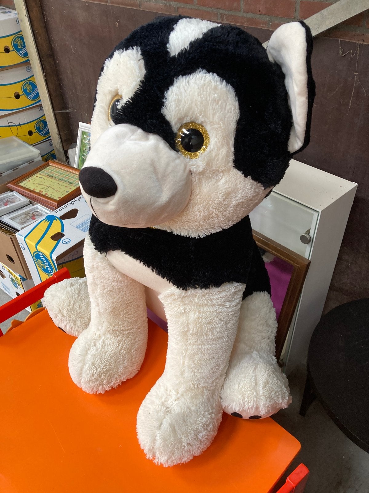 Grote Zwarte en Witte Husky Knuffel - Zo goed als nieuw, Ophalen, Overige merken, Overige karakters, Zwart