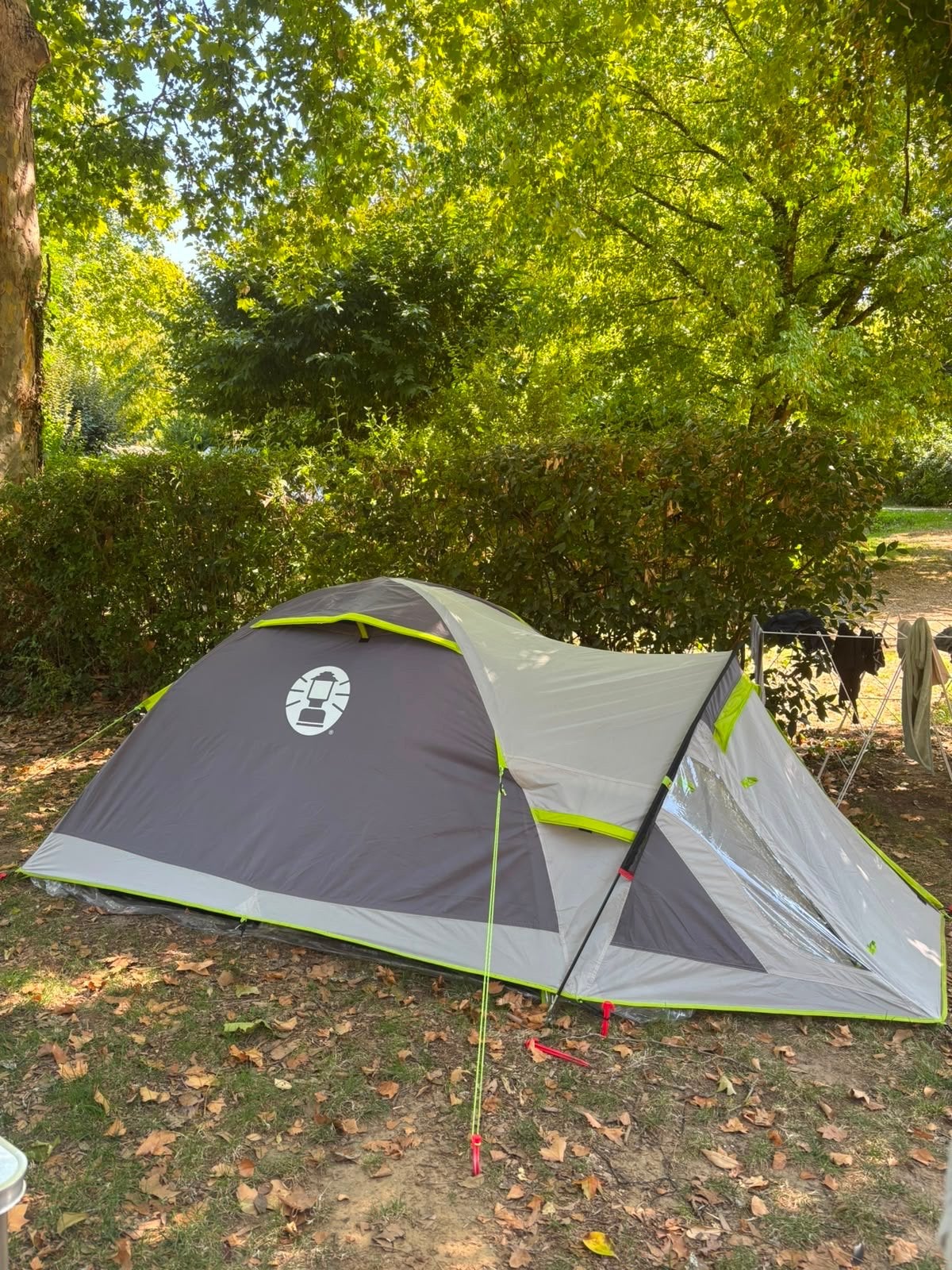 Coleman Darwin 2+ tent - Zo goed als nieuw, Ophalen, Zo goed als nieuw, Tot en met 2