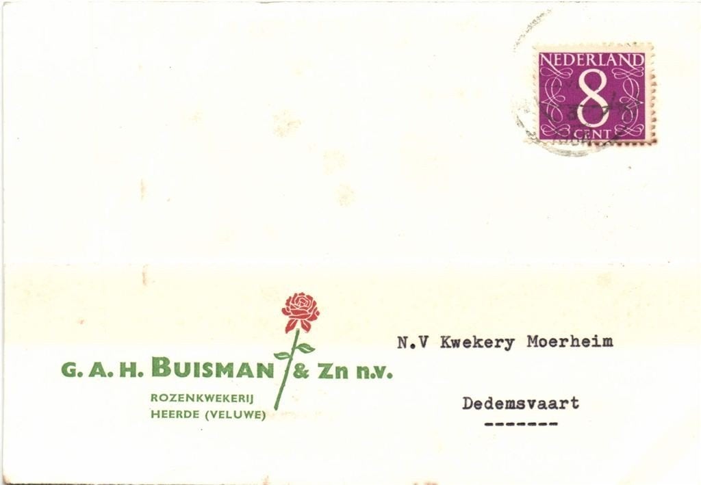 G.A.H. Buisman + Zn n.v., Heerde - 06.1964 - briefkaart, Ophalen of Verzenden, Briefkaart