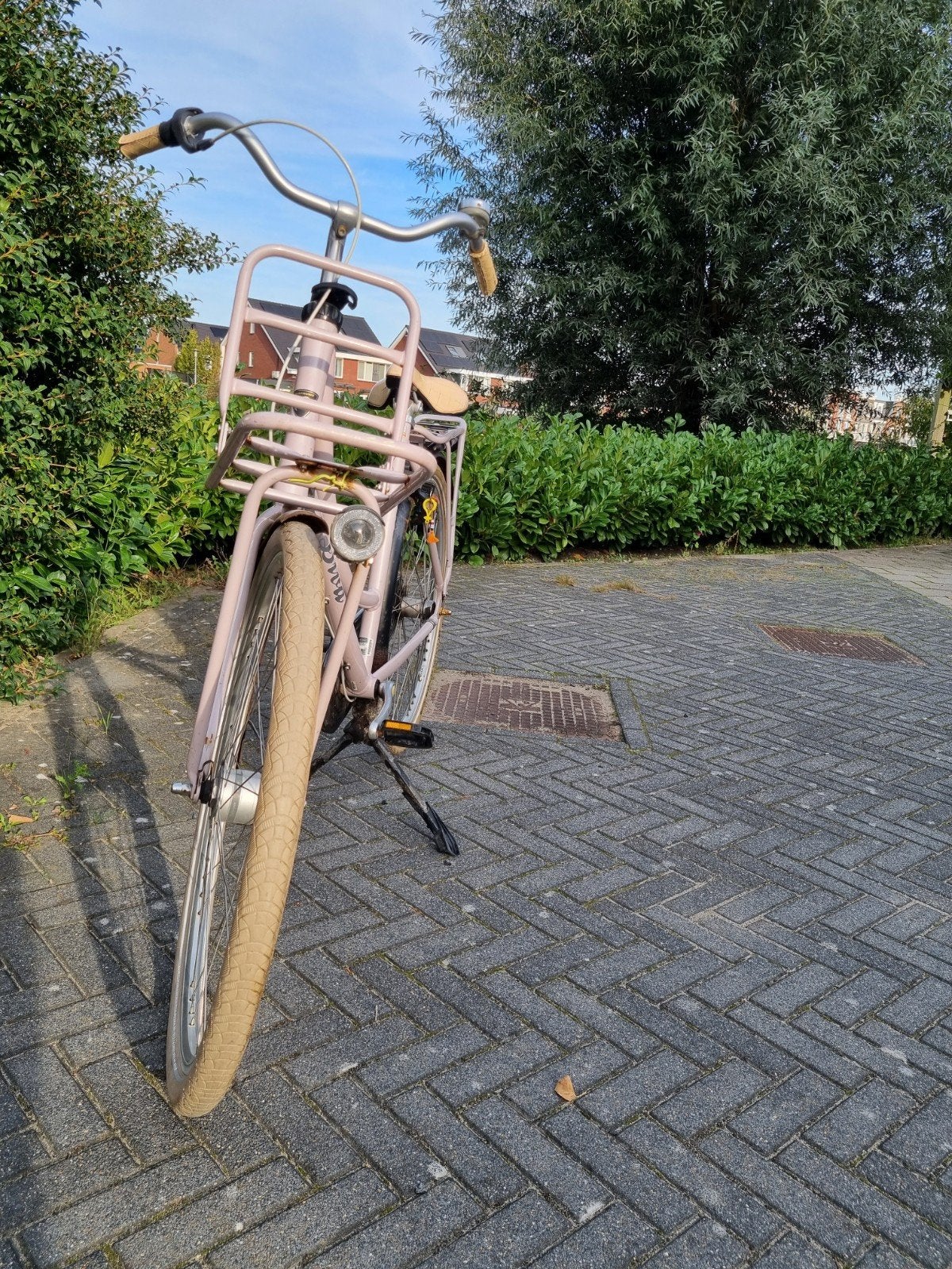Foto 6 van Batavus Diva, damesfiets 56 cm