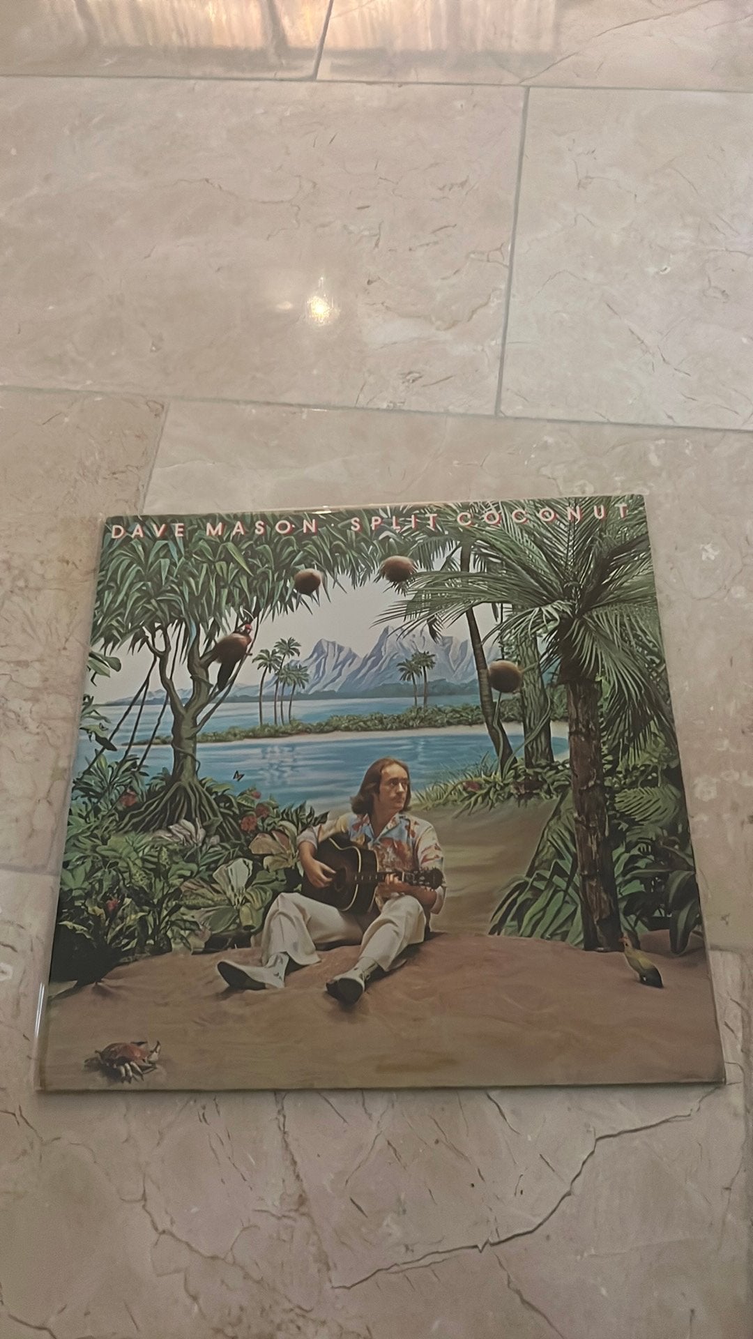 LP Dave Mason split coconut, Ophalen of Verzenden, Zo goed als nieuw, 12 inch, Poprock