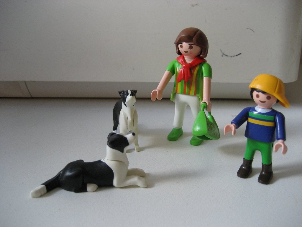 playmobil moeder en zoon met hun border collies honden, Ophalen of Verzenden, Zo goed als nieuw