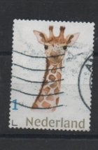 hlouz ‹(•¿•)› nl m0074 de giraf van dikkertje dap, Ophalen of Verzenden, Na 1940, Gestempeld