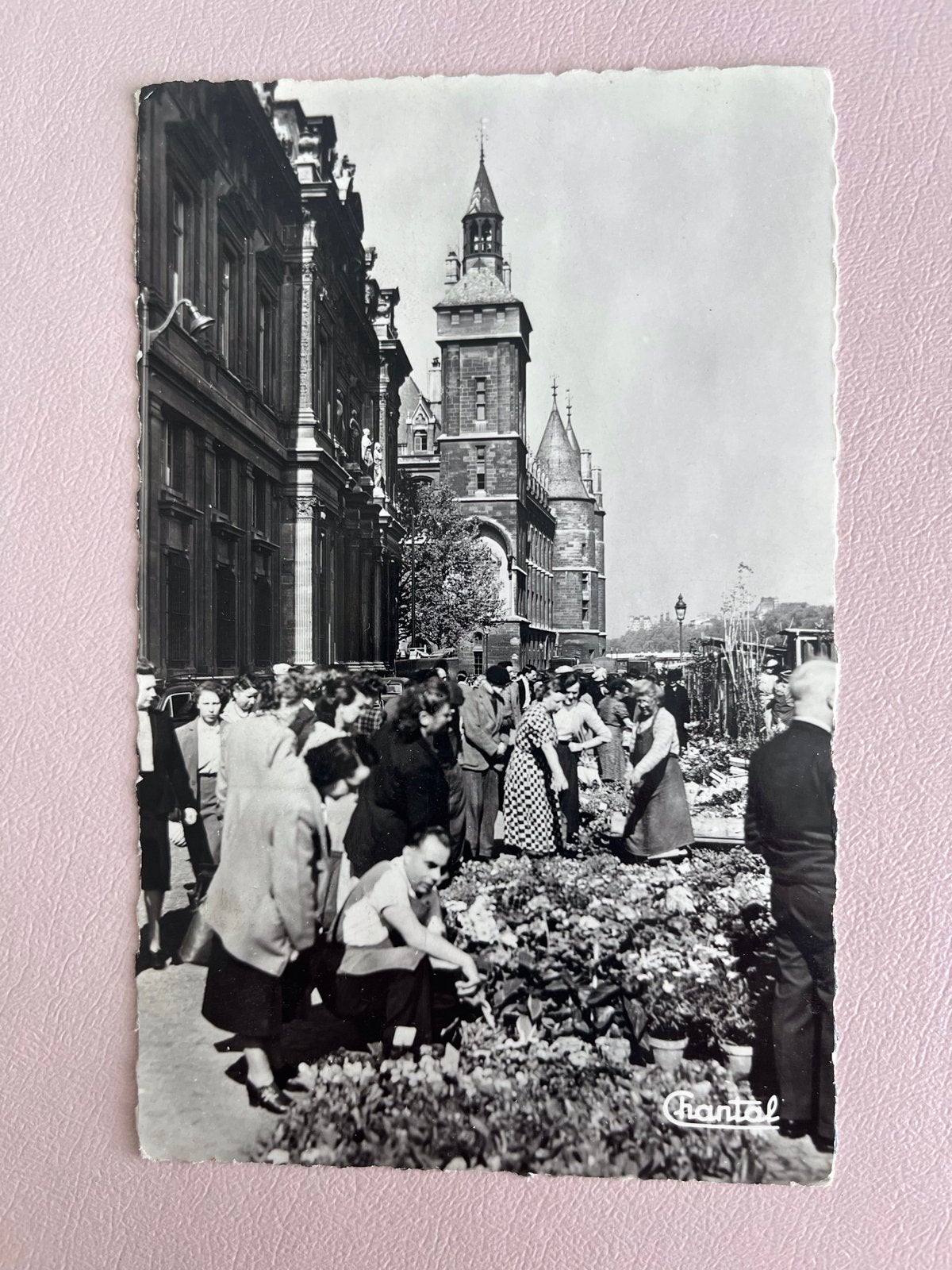 Oude ansichtkaart Parijs - Le Quai aux Fleurs (1951), Verzamelen, Ophalen of Verzenden, 1940 tot 1960, Gelopen, Frankrijk