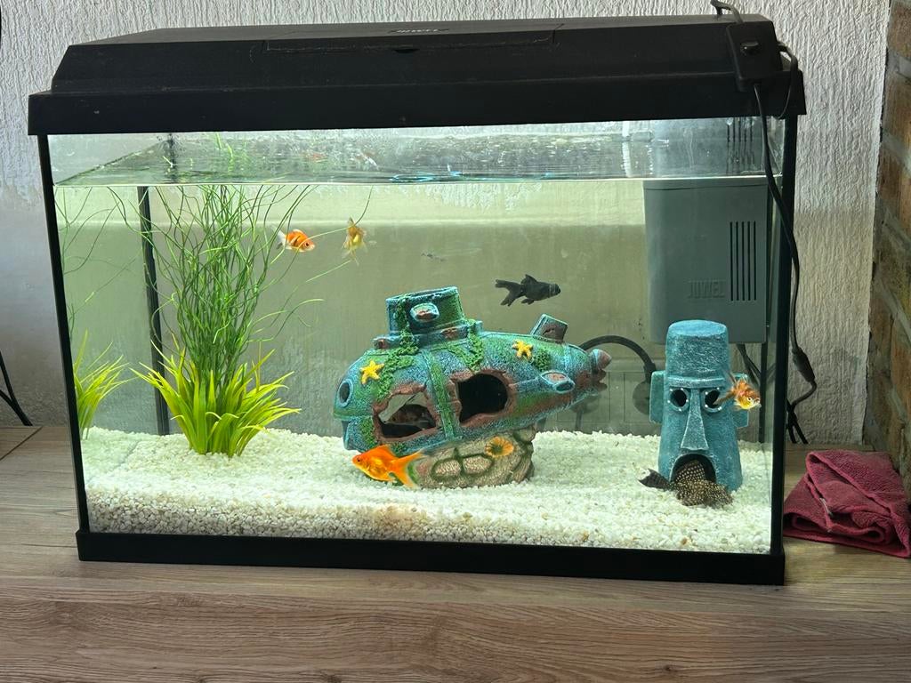 Aquarium 70 liter met toebehoren! Excl vissen, Dieren en Toebehoren, Vissen | Aquaria en Toebehoren, Ophalen, Zo goed als nieuw