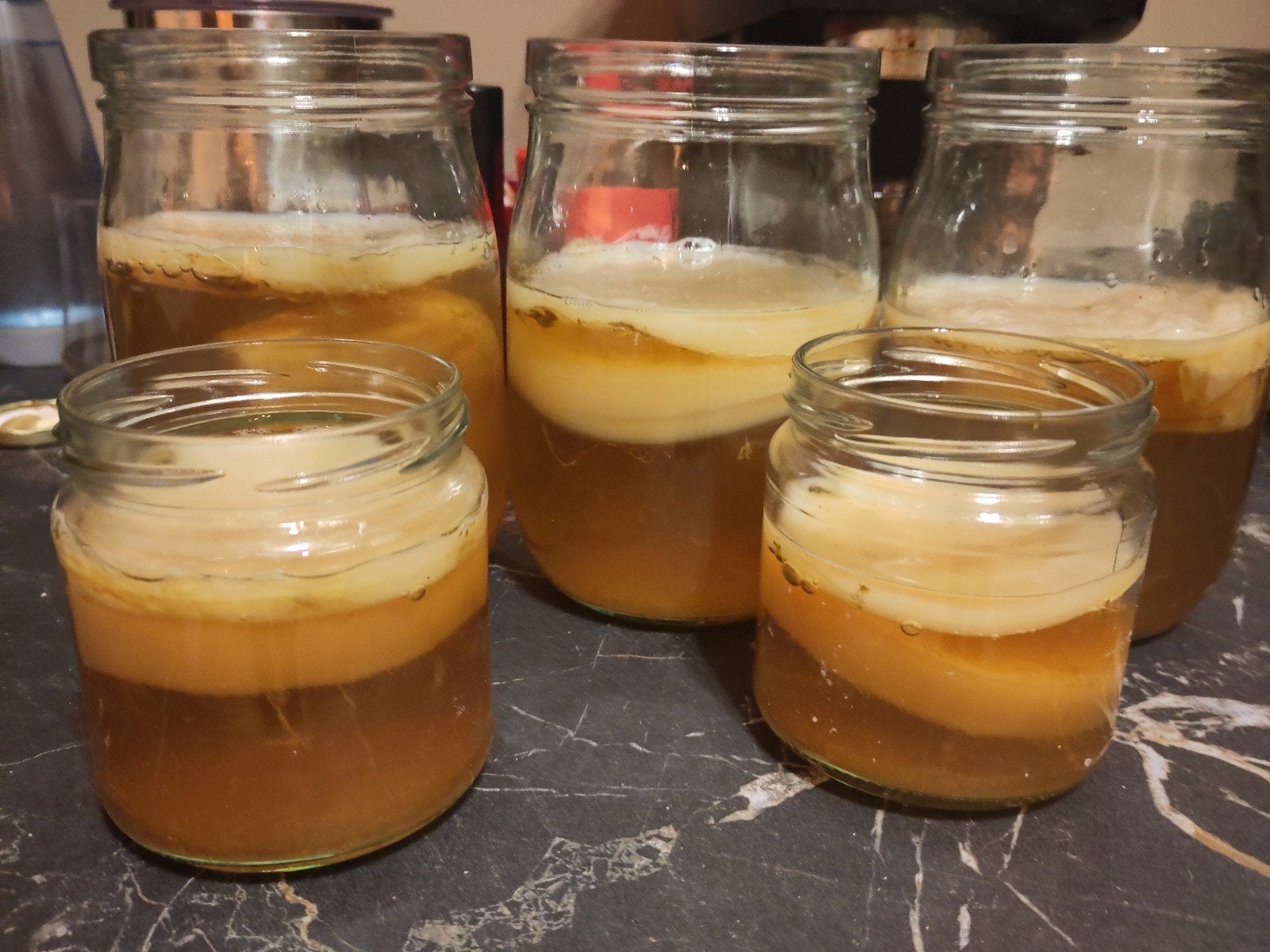 Gezonde en actieve scoby met startervloeistof voor kombucha, Ophalen