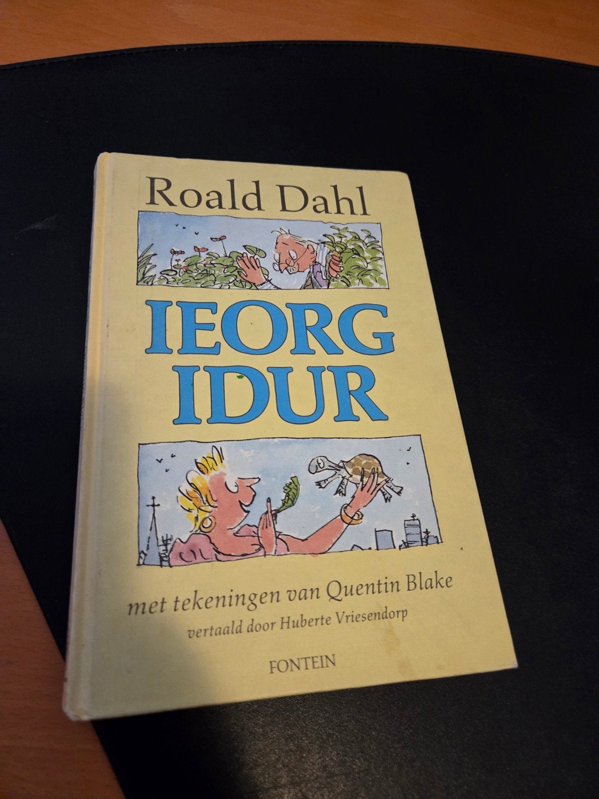 Roald Dahl - IEORG IDUR (met tekeningen van Quentin Blake), Boeken, Kinderboeken | Jeugd | onder 10 jaar, Ophalen of Verzenden