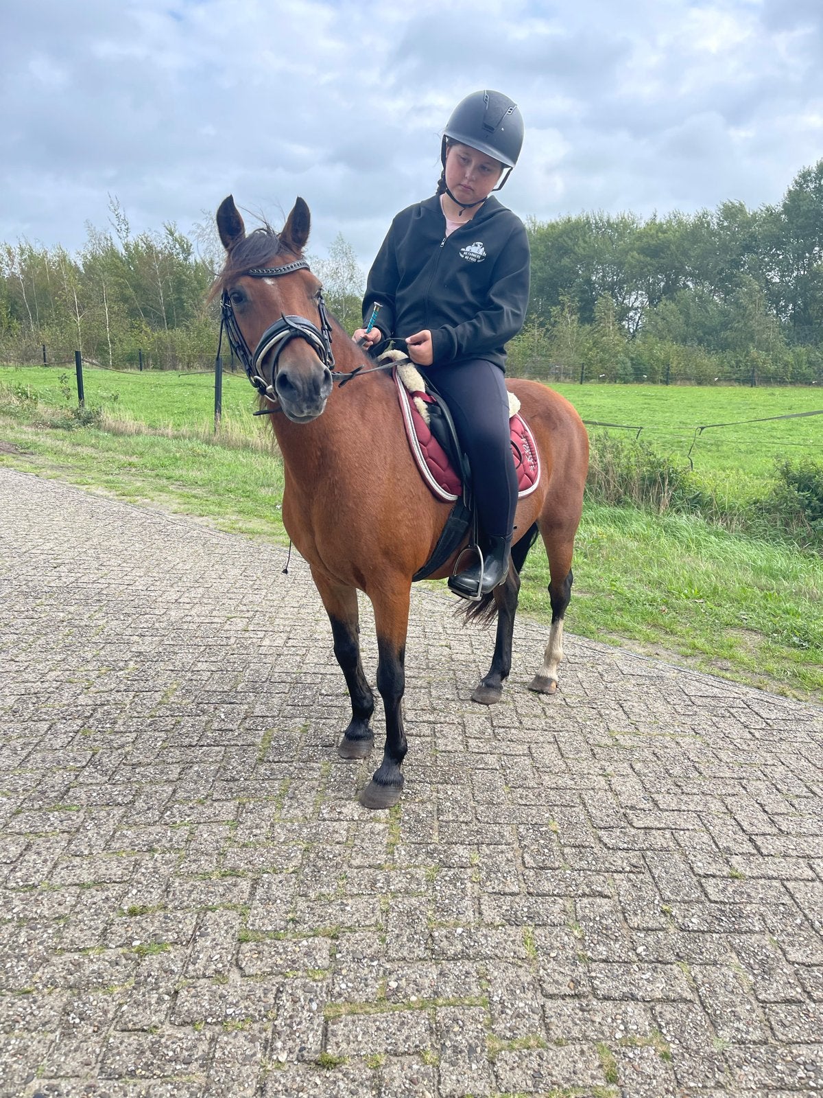 Lieve kinderpony - B pony - 16 jaar, Merrie, Gechipt, 11 jaar of ouder
