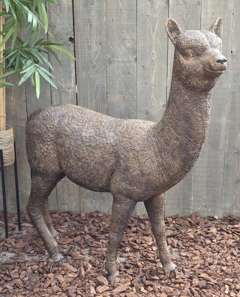 ALPACA / BRONZEN TUINBEELD, Dierenbeeld, Nieuw, Info@huisentuindecoratiemarie.nl, Huis en tuin decoratie marie