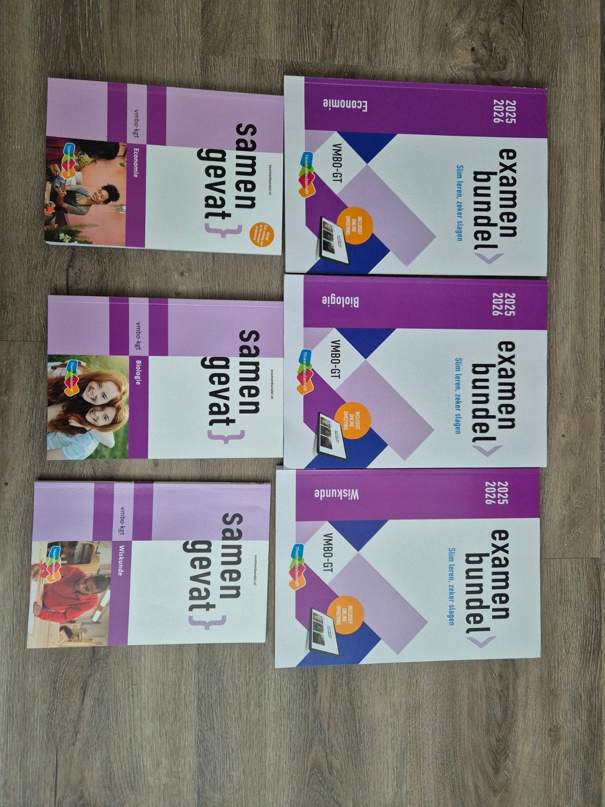 Examenbundel & Samengevat VMBO-GT Eco, Bio, Wis, Ophalen of Verzenden, Zo goed als nieuw, VMBO, Economie