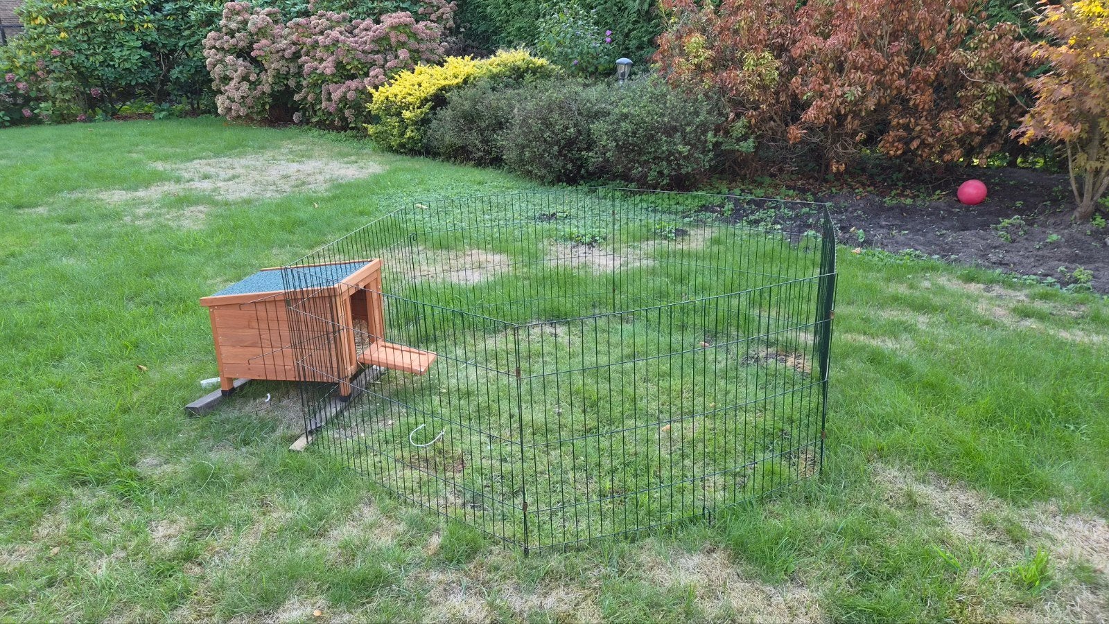 dierenren met hokje voor konijn, cavia, poes ed, Minder dan 60 cm, 110 cm of meer, Cavia, Ophalen of Verzenden