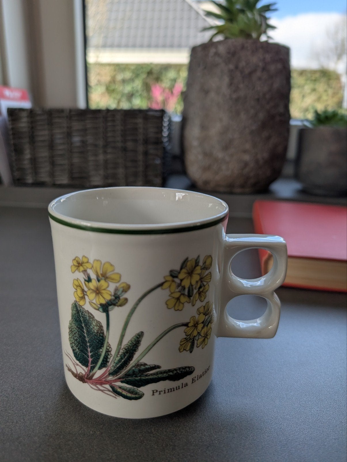 Set van 6 Wedgwood Florabunda Primula bekers, Huis en Inrichting, Keramiek, Overige typen, Nieuw, Ophalen of Verzenden