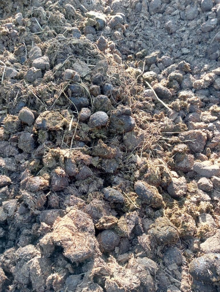 Paardenmest te koop, Ophalen, Mest