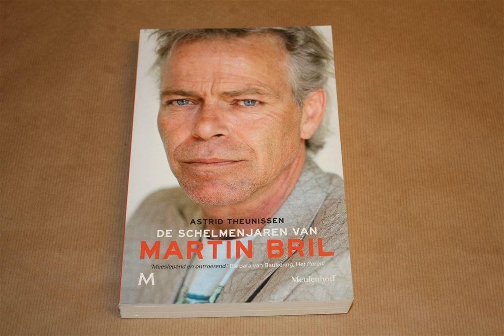 De schelmenjaren van Martin Bril. Astrid Theunissen., Boeken, Ophalen of Verzenden, Gelezen
