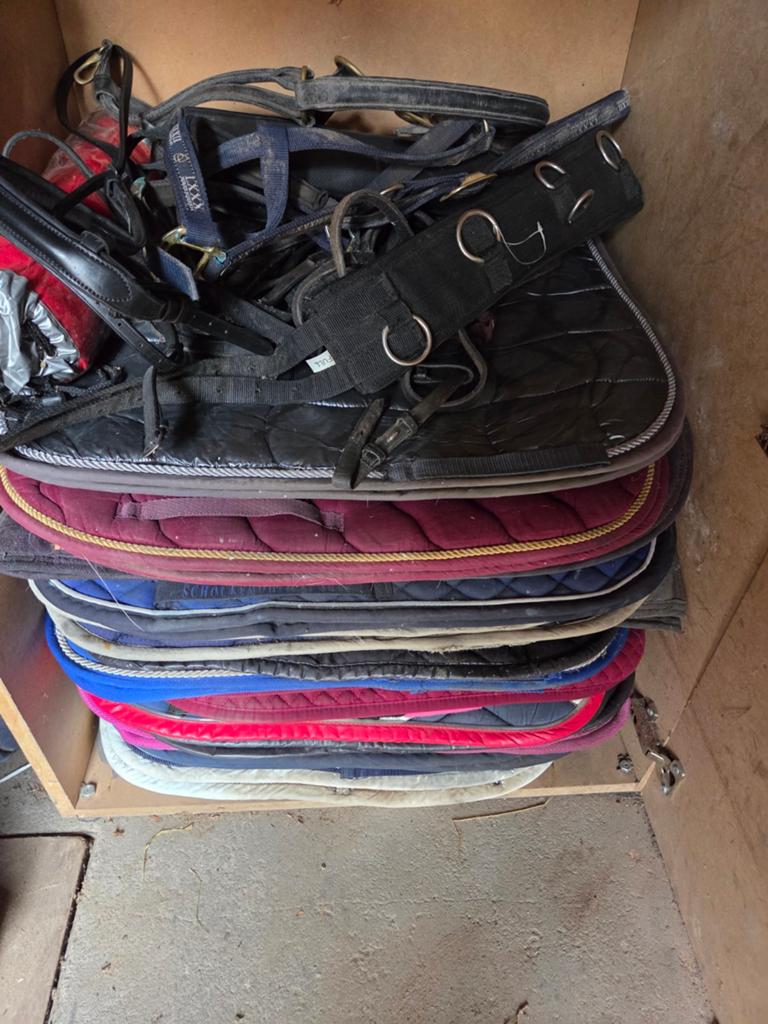 Partij dekjes en spullen full ter donatie, Dieren en Toebehoren, Full (L), Ophalen, Gebruikt, Dressuurdekje