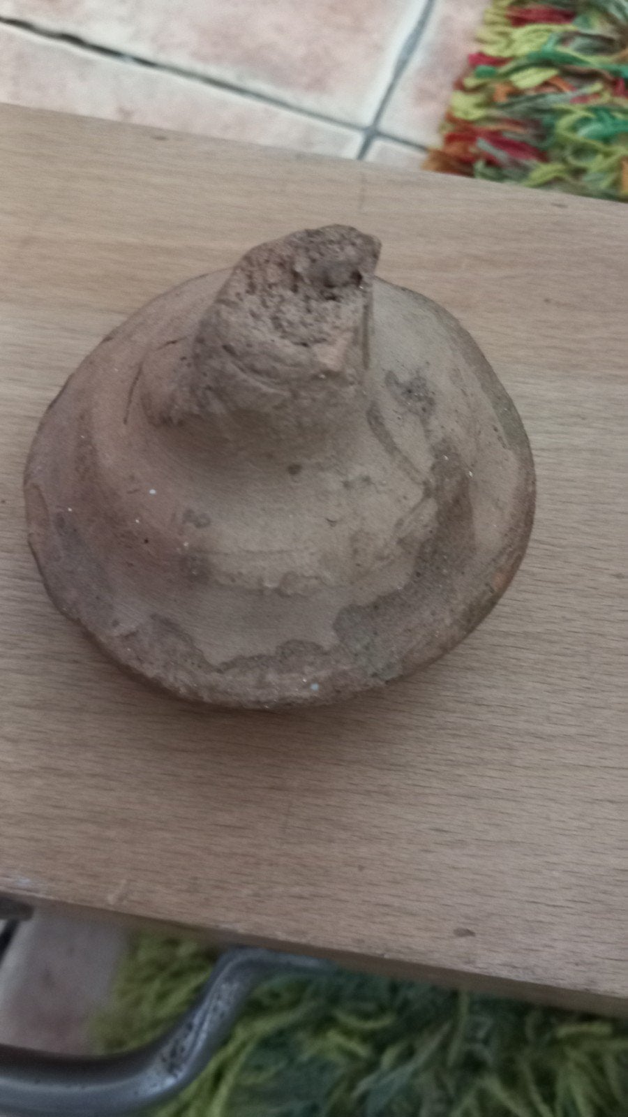 argeologisch zalf potje, Eén persoon, Overige soorten