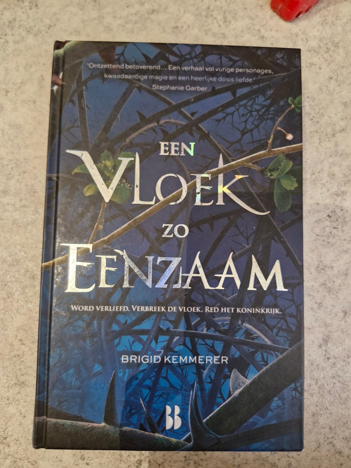 Een Vloek Zo Eenzaam - Brigid Kemmerer (Fantasy Boek), Ophalen of Verzenden, Gelezen, Brigid Kemmerer