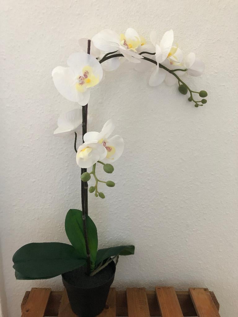 Mooie kunst Orchidee 60 cm hoog, Ophalen of Verzenden, Overige soorten, Halfschaduw, Minder dan 100 cm