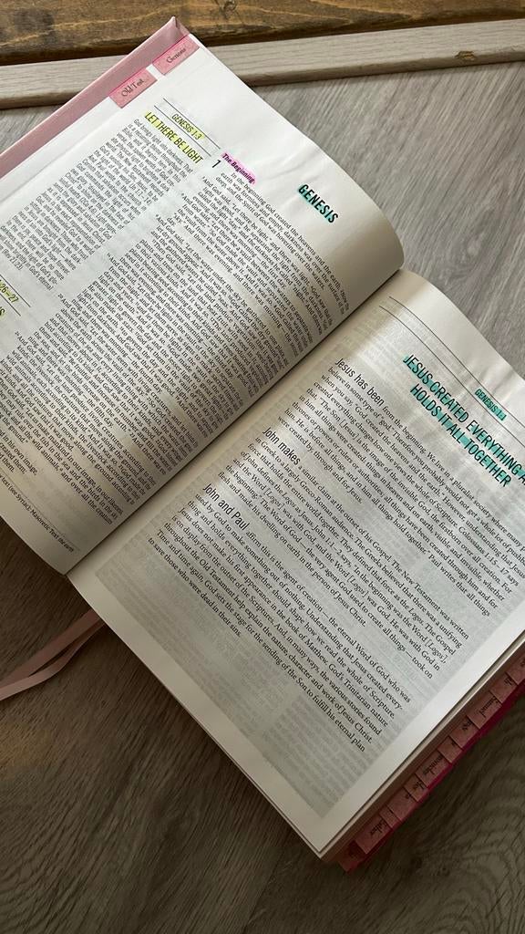The Pink Jesus Bible - Engelse Bijbel met Roze Omslag, Ophalen