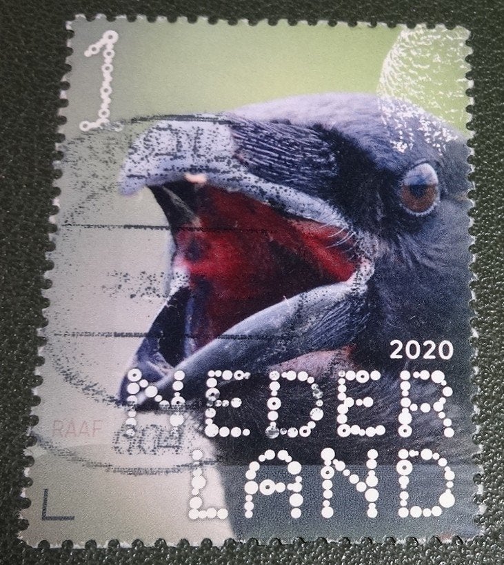 Beleef de Natuur - 3865 - 2020 - Raaf - PNe01-16, Verzenden, Na 1940, Gestempeld