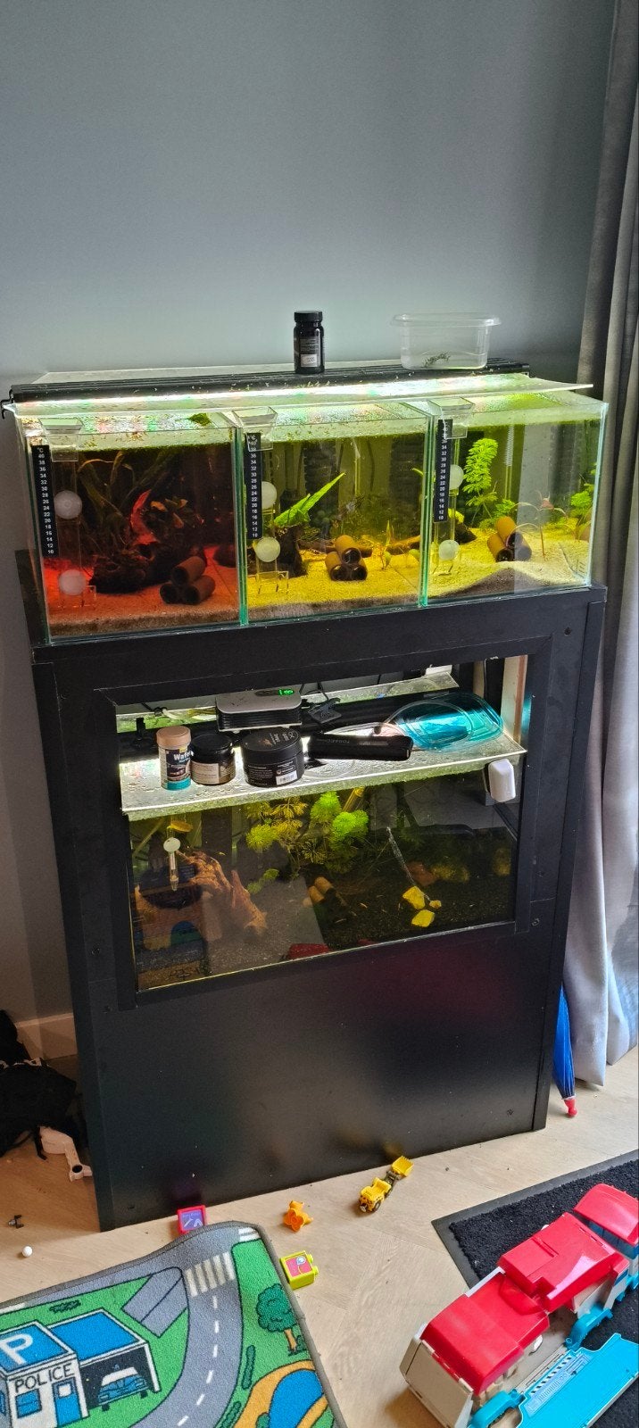 Prachtige Zelfgemaakte Kweekstelling / Aquariumstelling (4 B, Dieren en Toebehoren, Ophalen, Leeg aquarium