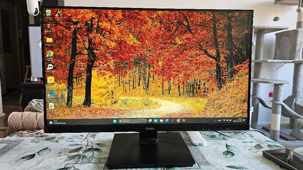 iiyama Black Hawk G2530HSU Gaming Monitor - Full HD, Computers en Software, Gebruikt, Iiyama, DisplayPort, Ingebouwde speakers