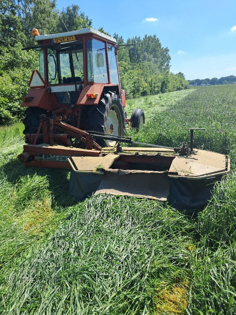 Te koop KLEINE PAKKEN HOOI., Dieren en Toebehoren, Ophalen, Vee