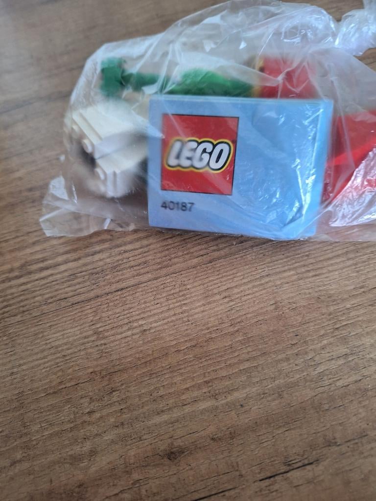 LEGO 40187 Bloemen, Overige thema's, Lego, Ophalen of Verzenden, Zo goed als nieuw