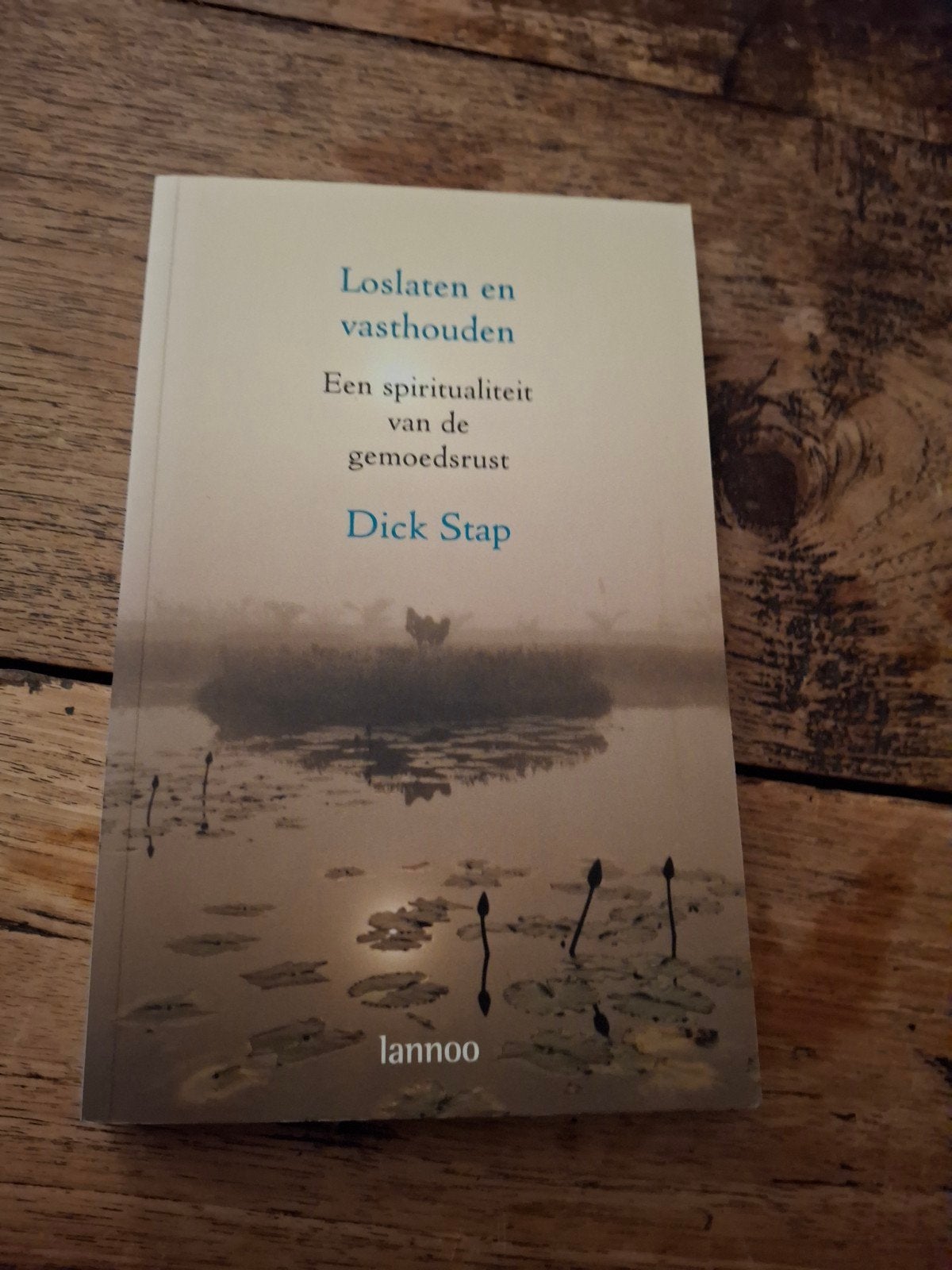 D. Stap - Loslaten en vasthouden, Boeken, Ophalen of Verzenden, Zo goed als nieuw, D. Stap