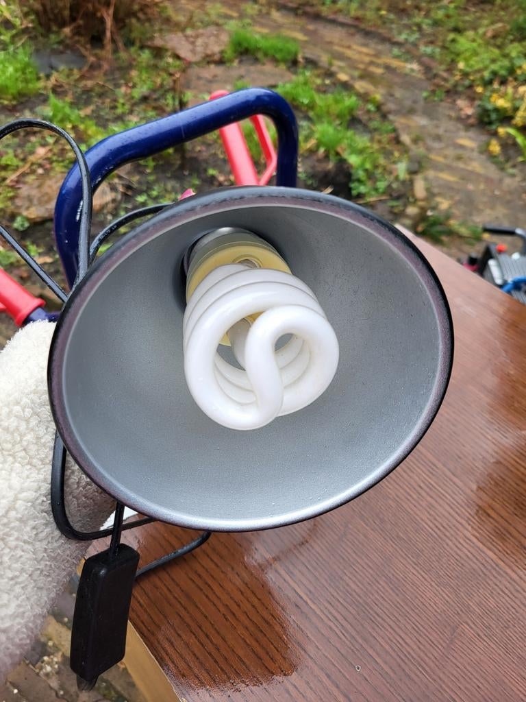 UV warmtelamp voor dieren, Ophalen of Verzenden, Zo goed als nieuw