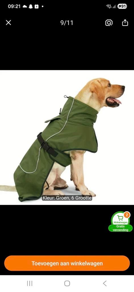 Regenjas hond XL, Dieren en Toebehoren, Ophalen of Verzenden, Zo goed als nieuw, Hondenjas
