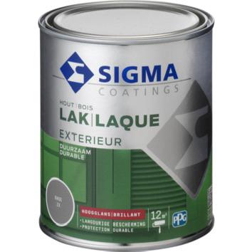 Sigma hoogglans buitenlak kleur standgroen, Ophalen, Zo goed als nieuw