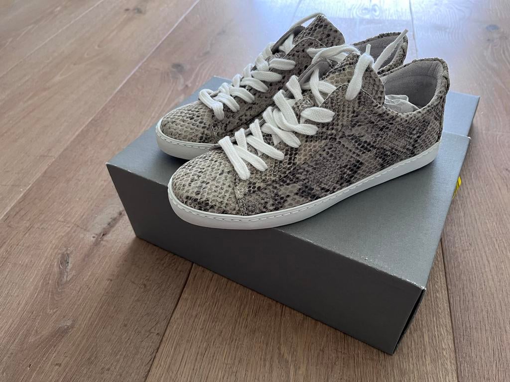 Copenhagen CPH40 sneakers met slangenprint, Kleding | Dames, Schoenen, Ophalen of Verzenden, Nieuw, Grijs, Sneakers of Gympen