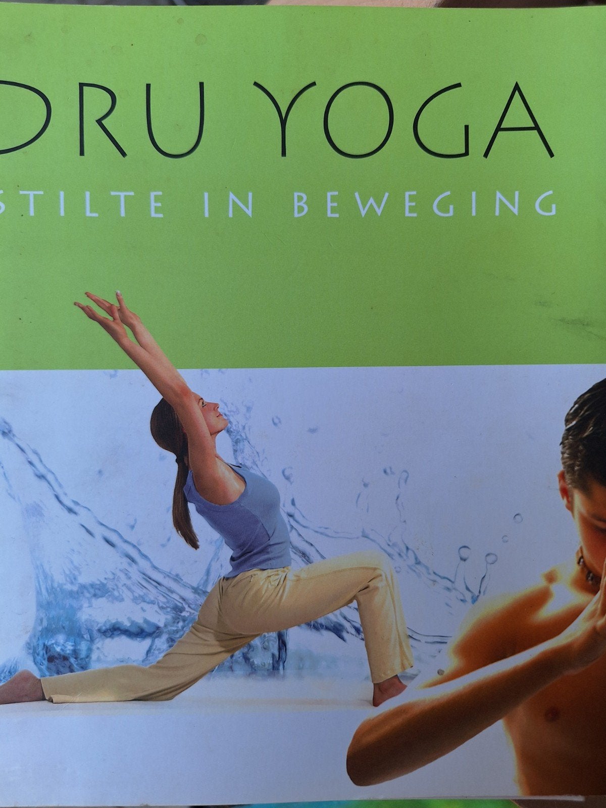 Amit Goswami - Dru Yoga - Stilte in beweging
ZGAN, Boeken, Ophalen of Verzenden, Zo goed als nieuw, Meditatie of Yoga, Instructieboek